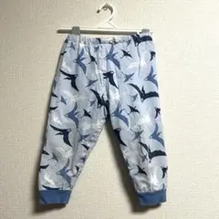 Item thumbnail for item 2d20dea3-81d4-4265-9a7b-fae1bd0b04d9