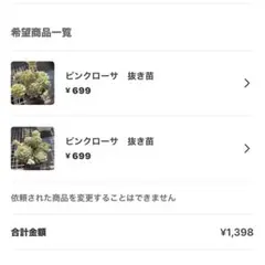 とももん様 リクエスト 2点 まとめ商品−50円