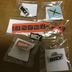 BUMP OF CHICKEN バッジ ツイストバンド 6個セット