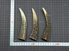 2026年最新】エゾシカ 角の人気アイテム - メルカリ