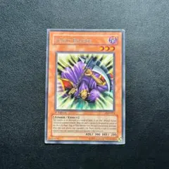 Item thumbnail for item 71c4b08b-a37e-4b6f-8f9f-24097e552ad5