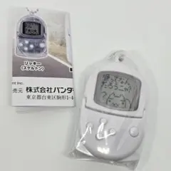 ポケットステーション どこでもいっしょ ミニチュアチャーム ガチャ 愛③
