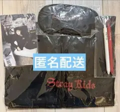 straykids スキズ dominATE ヨーロッパツアー VIP特典