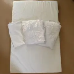 Item thumbnail for item 318fb5a7-93a0-4a47-9d38-eb9216621c17