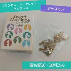 ジャスミン　プリンセス　シークレット　ネックレス　ディズニーストア　Disney