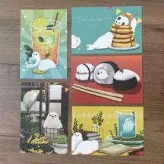 【希少】BARE FEET アザラシ ポストカード 5枚セット