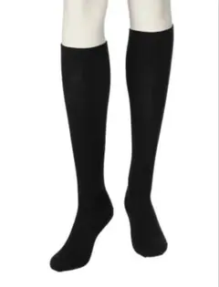 Item thumbnail for item c5759e58-67ca-4946-9e35-0825b01ad7e2