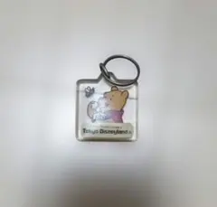 東京ディズニーランド レトロ プーさん キーホルダー