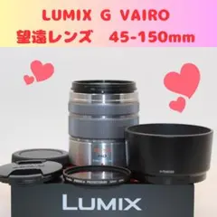 ✨美品✨パナソニック LUMIX 45-150mm シルバー 望遠 プロテクター