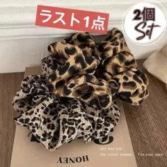 レオパード　シュシュ　2個セット　ヒョウ柄　トレンド　ボリューム　派手　ヘアゴム