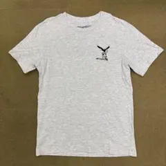 ANTIHERO スケボー　Tシャツ　サイズMのサムネイル