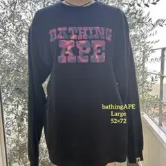 Item thumbnail for item c61868fe-8294-42cb-b35a-60ccef51f5cc