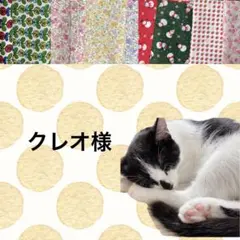 クレオ様 リクエスト 3点 まとめ商品