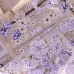 【Xi165s】小白家 / 蔷薇诗 贝壳光 pet 1ループ 150cm