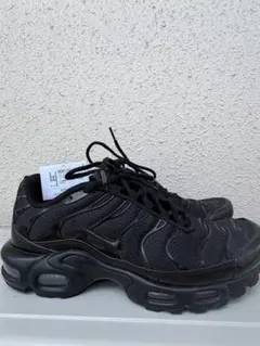 NIKE AIR MAX PLUSのサムネイル