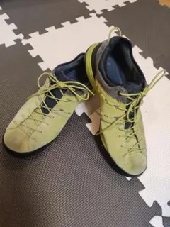 Item thumbnail for item 35f10545-c761-472c-9e46-3916d7a25a0a