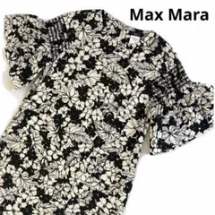 Weekend Max Mara フレア袖 ワンピース 大きいサイズ L〜XLのサムネイル