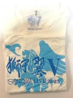 Item thumbnail for item 4d806a2b-7e5e-45de-9490-f403a0f7de7c