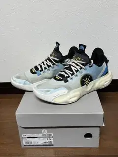 Li-ning WADE All city 12 25.5cm バッシュ