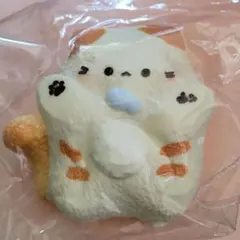 M*)様 スクイーズ　猫