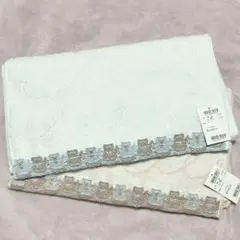 Item thumbnail for item a80e0904-065f-4521-8bf0-71a90f64cd5d