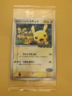 2026年最新】ポケパークのピカチュウ 未開封の人気アイテム - メルカリ