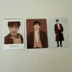 SEVENTEEN 2020 WINTER ウォヌ　トレカ