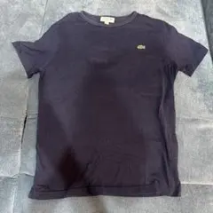LACOSTE Tシャツ ネイビー 3