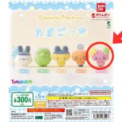 たまごっち カプセルフロッキーズ ふらわっち