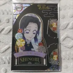 鬼滅の刃 胡蝶しのぶ アクリルスタンド Vol.4