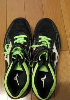 Item thumbnail for item 63031b65-3e58-494d-8f09-564e35474f7f