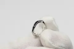 Item thumbnail for item 70b9d332-3a0e-450b-b395-917b419f916e