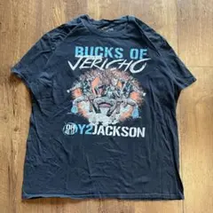00s USA製 Bucks of JerichoミュージックTシャツメンズXL