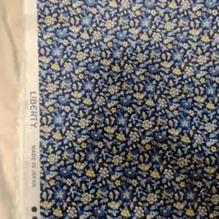 Liberty 【コーデュロイ】 パッツィ・アンド・レニー約5m