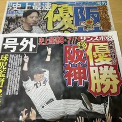 阪神タイガース　2025年　優勝　号外