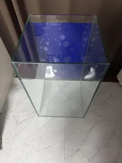 ADA ガラス 水槽 アクアリウム W60×D30×H36 魚 ADA ガラス 水槽 アクアリウム W60×D30×H36 魚 - メルカリ
