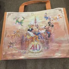 ディズニー ディズニーランド40周年 保冷ミニバックのサムネイル