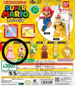 スーパーマリオ めじるしアクセサリー2 ピーチ キノピオ