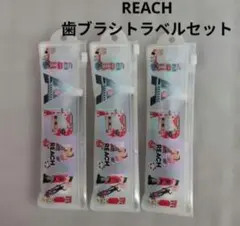 REACH 칫솔 트래블 세트 칫솔 세트