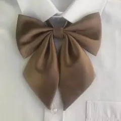 Item thumbnail for item 73c2b901-2304-4d7f-bea6-006dfd9dc0c9