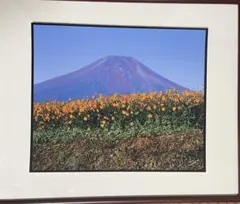 N. Murata 富士山とコスモス 風景写真 四つ切りサイズ 額なし 開運