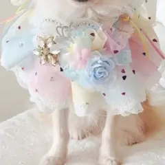 Parti du Ruban 犬服 チョーカー わんこ服