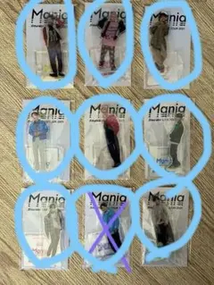 SnowMan LIVE TOUR Mania 2021 アクスタ9人