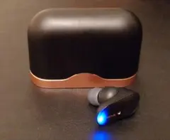 Item thumbnail for item 15e4fcf1-4e22-44bb-8da5-be829883539f