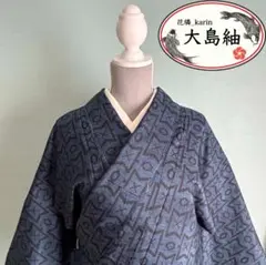 美品 着物 袷 大島紬 藍色 幾何学模様 絣 古典柄 伝統 しつけあり B-1