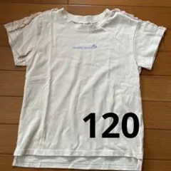 Item thumbnail for item bcdff0e2-b067-4807-952c-38341d7087c4