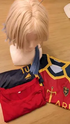 お値下！ブルーロック カイザーHOLOUN製 ウィッグ付き