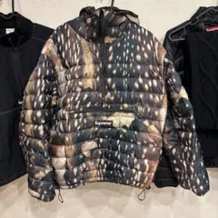 Supreme Micro Down Half Zip Hooded