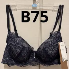 Item thumbnail for item e101829a-48dd-4776-940f-169d77e4f001