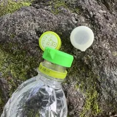 Sebo801様 リクエスト 4点 まとめ商品